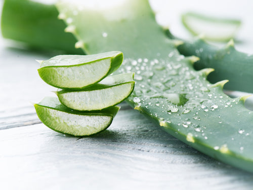 Aloe vera, soin pour la peau, le corps , le visage