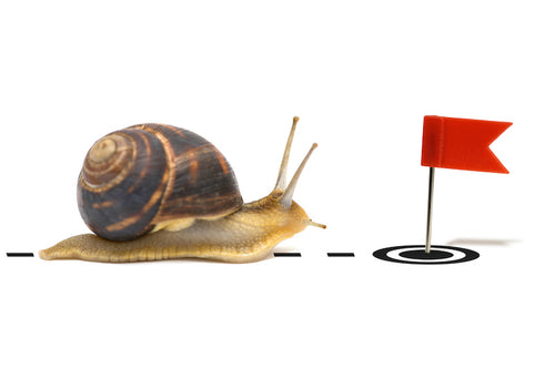 un escargot qui avance vers un drapeau