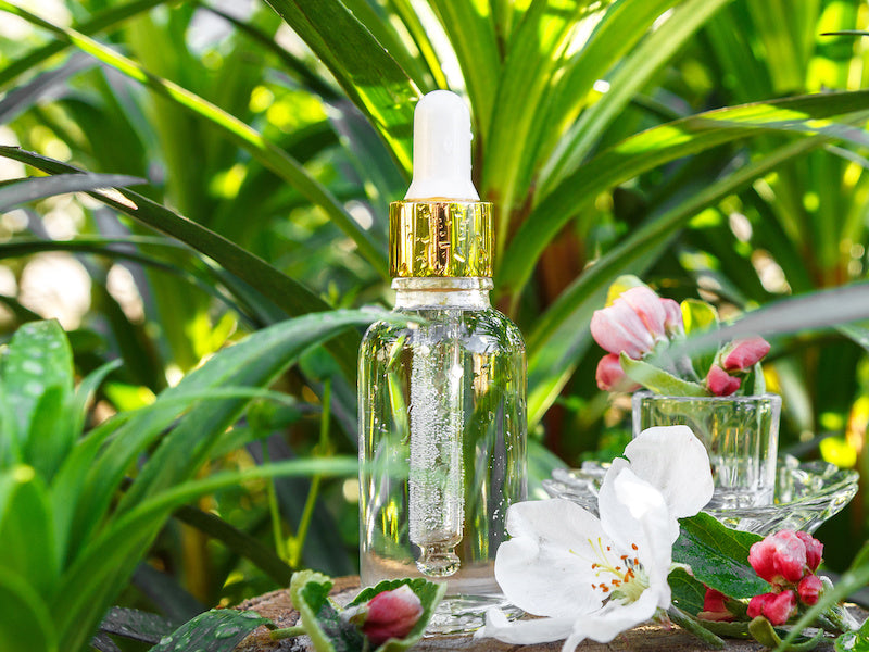 plantes cosmetique naturel