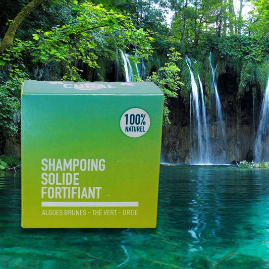 Shampoing solide fortifiant , Algues brunes / Thé vert / Orties